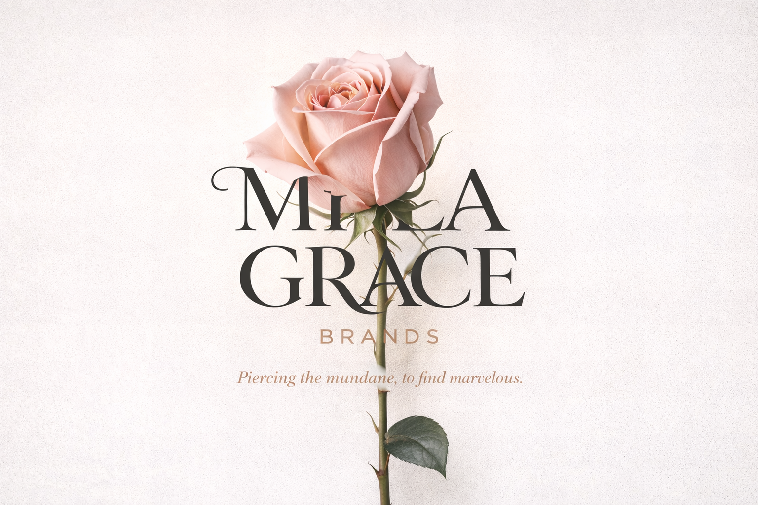Detailed view of Mila Grace Brands signature products