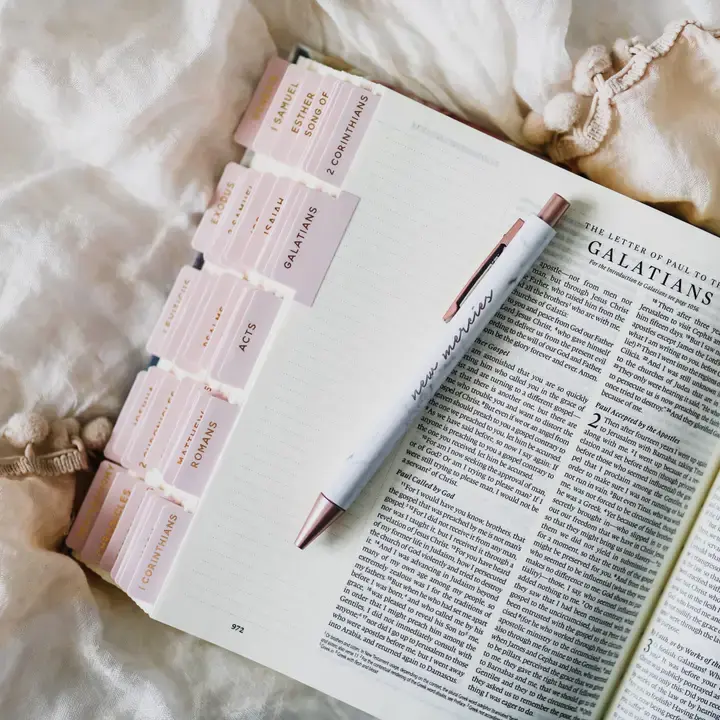Blush Bible Tabs Blush image 1